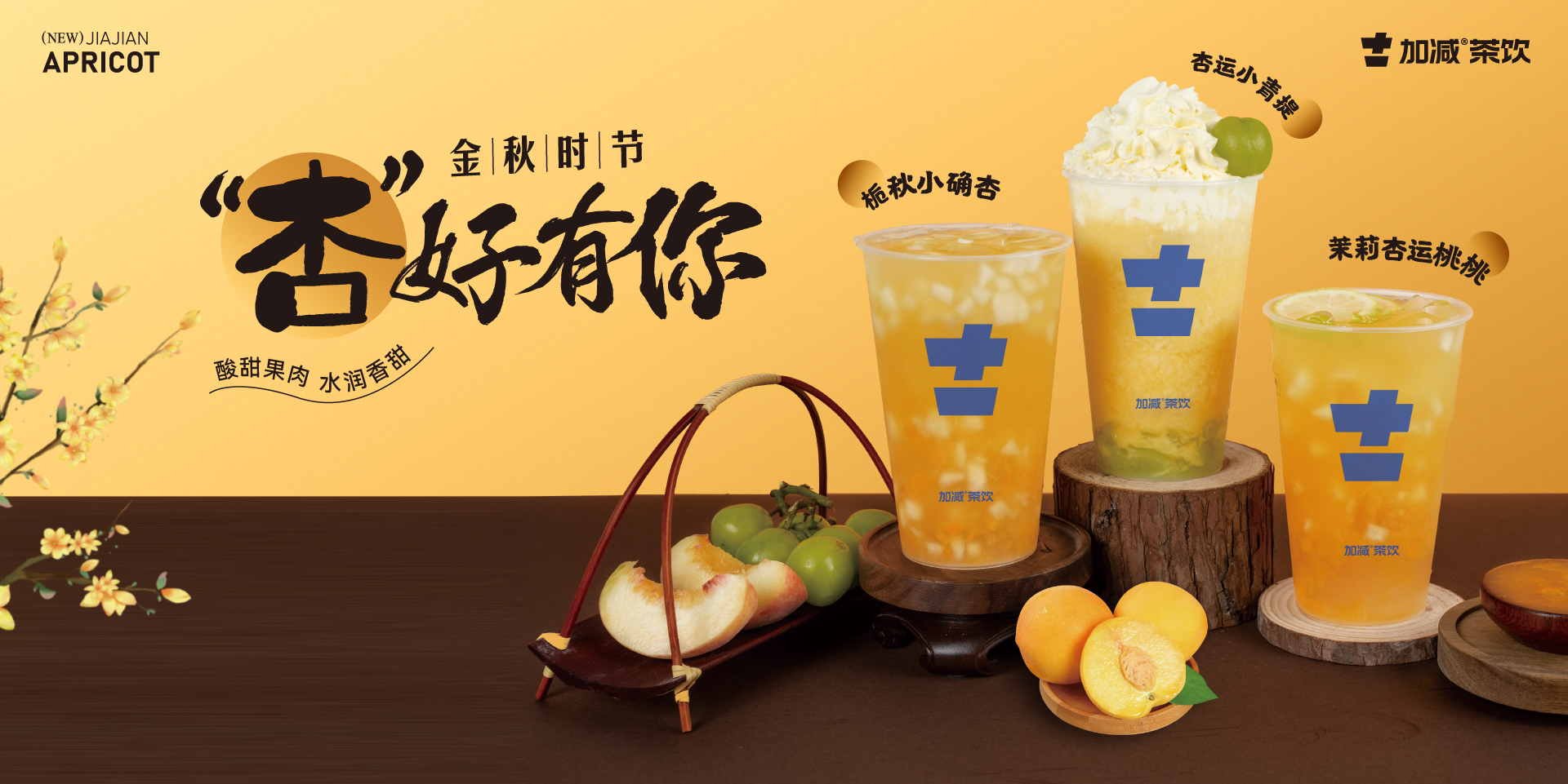 金秋时节，“杏”好有你